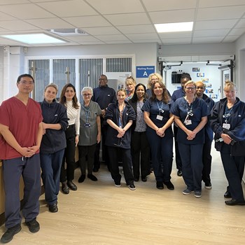 Image of our sexual health service team