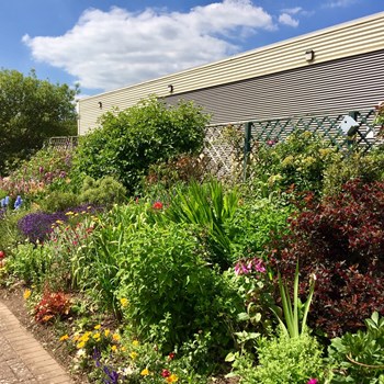 Therapy Garden at West Berkshire Community Hospital